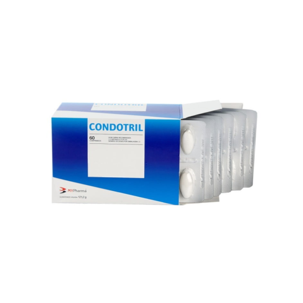 Condotril - Articulações Manutenção Regeneração 60 Comprimidos